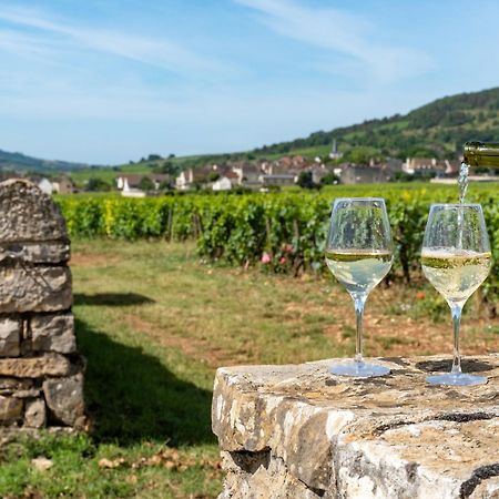 Charmante Maison Climatisee Avec Son Jardin A 5 Minutes De Dijon Saint-Apollinaire  Ngoại thất bức ảnh