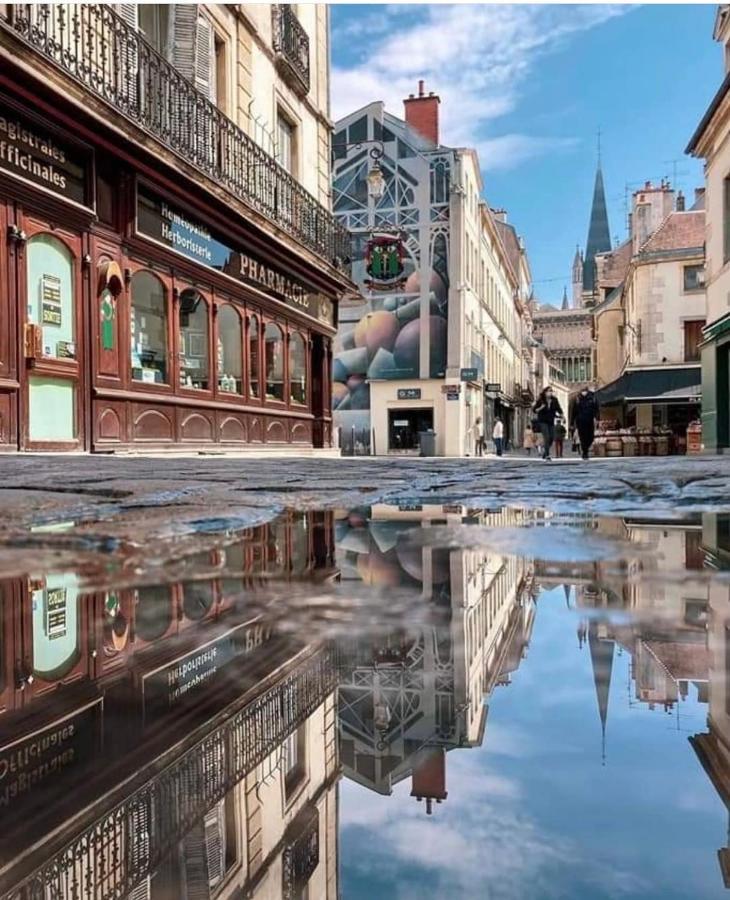 Charmante Maison Climatisee Avec Son Jardin A 5 Minutes De Dijon Saint-Apollinaire  Ngoại thất bức ảnh